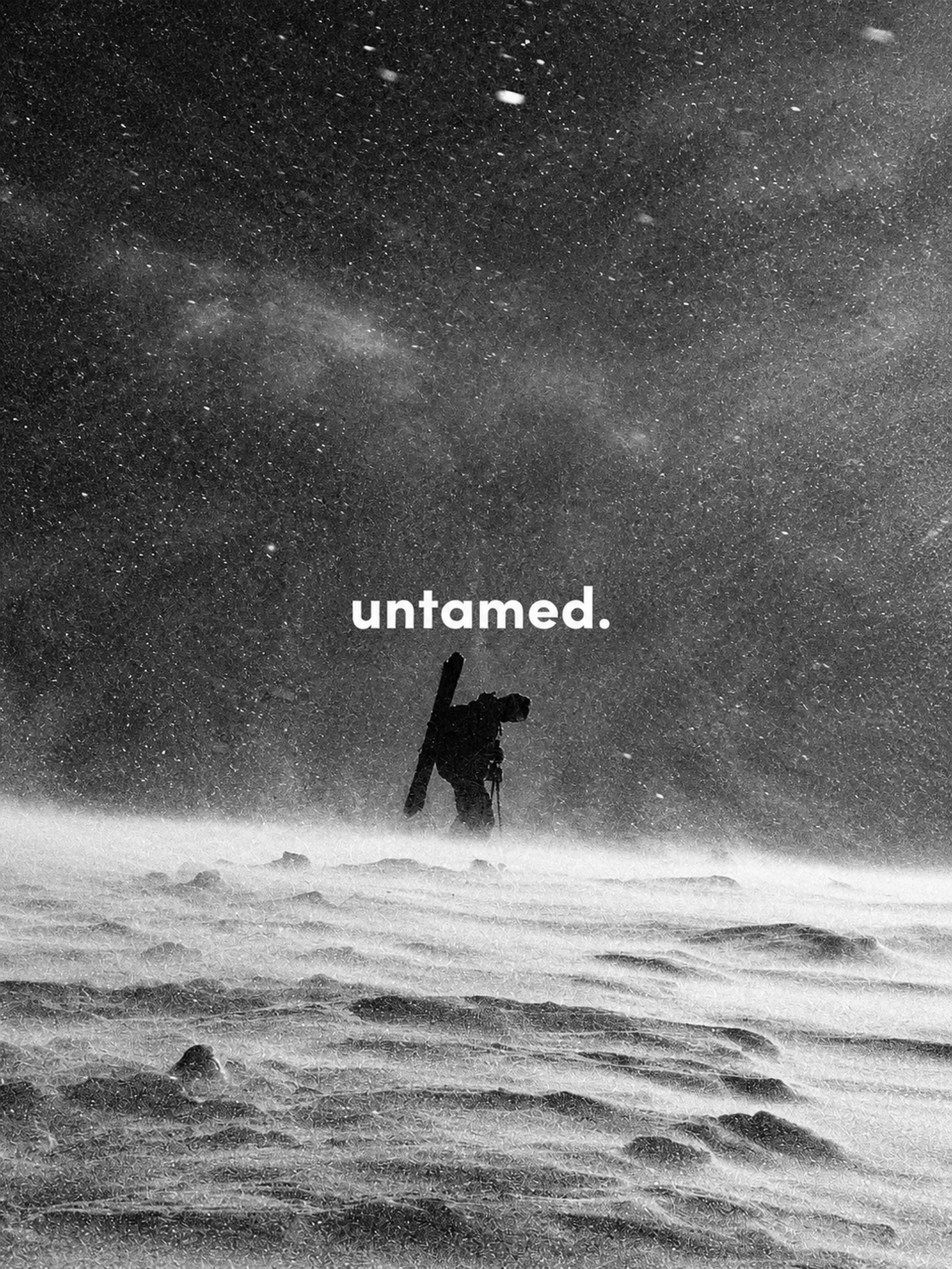 A skier crossing a windswept snowfield. Untamed.